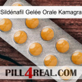 Sildénafil Gelée Orale Kamagra levitra1